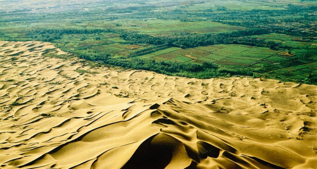The Great Green Wall: Chinese farmers push back the desert - VSN ...